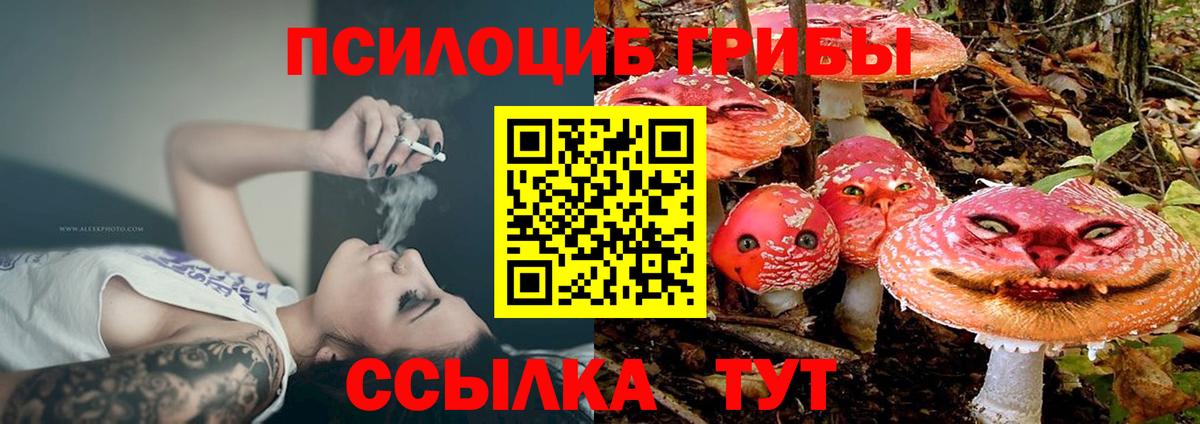 Кинешма  Псилоцибиновые грибы ЛСД  Вход с VPN  Псилоцибиновые грибы прущие грибы 