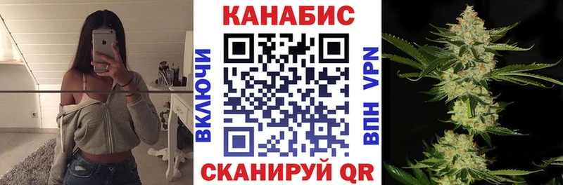 закладки Кинешма Бошки марихуана сатива